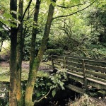 Buckden Woods bridge - Stubbins